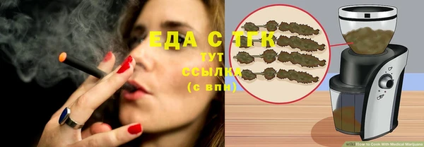 прущие грибы Верхний Тагил