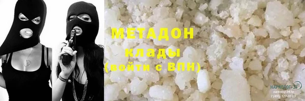 прущие грибы Верхний Тагил