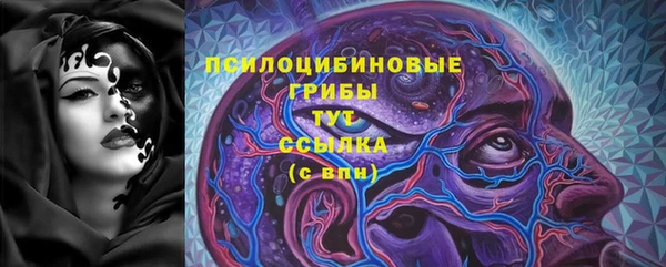 jwh Бородино