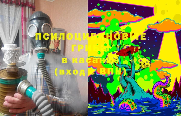 jwh Бородино