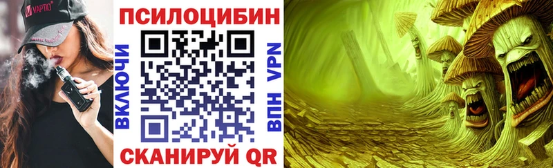 Галлюциногенные грибы Cubensis Вилюйск