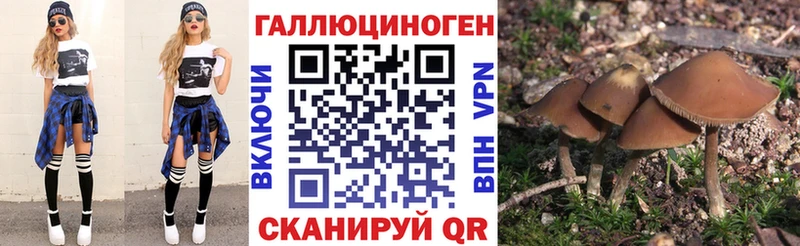 Псилоцибиновые грибы Psilocybine cubensis  продажа наркотиков  Вилюйск 